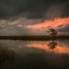 Apalachicola Bay