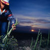 Harvesting asparagus south of Huron