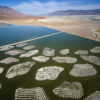 Shallow Flood Irrigation with Habitat Islands, Owens Lake, CA, 2