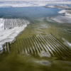 Aerial View of Shallow Flood Dust Mitigation Zone, Owens Lake, C