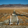 Managed Vegetation Dust Mitigation, Owens Lake, CA, 2014