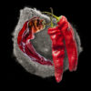 Red Chili Seed