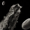 Chia Seed Nebula and Asteroids