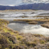 MojaveDesert_SaltCreekSprings