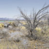 MojaveDesert_CrystalSpringsReservoir