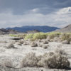 MojaveDesert_UnnamedSpring StateRd.20555