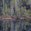 Boreal forest reflecting in lake, Superior National Forest, Minnesota.