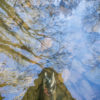 Reese_Tom_Our-Liquid-Mirror-2