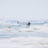 08_Filipova_1X0A2505