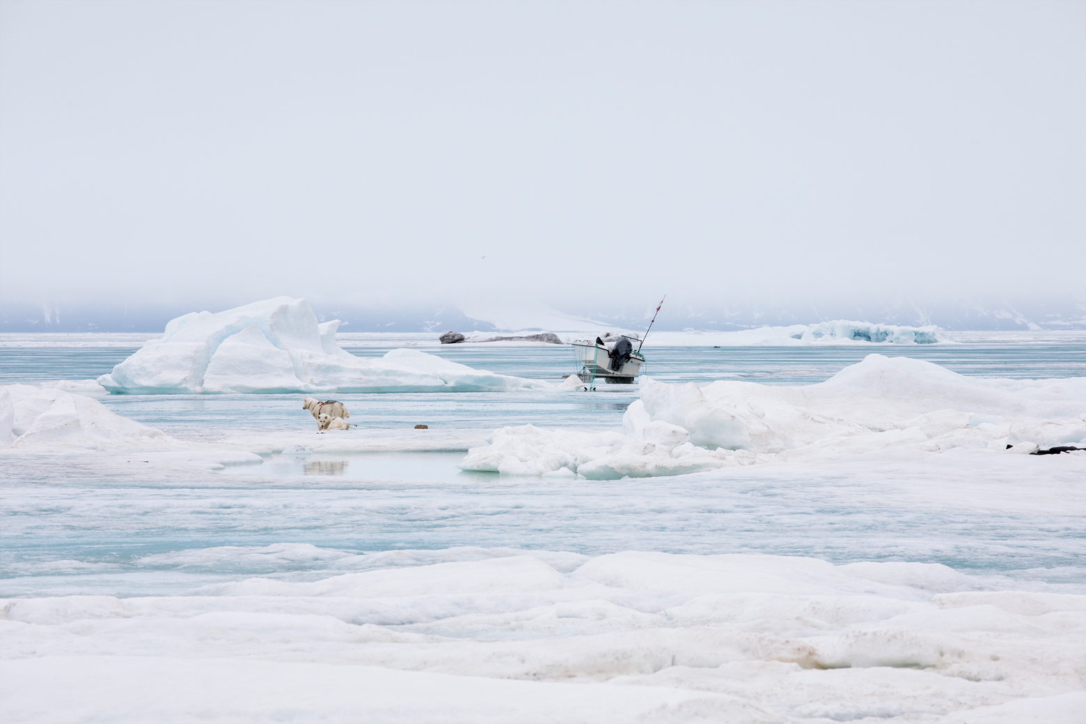 Working dogs and a boat on the sea ice at Qaanaaq, Greenland, photographed by Anna Filipova.