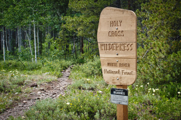 The Whitney Creek Trail at the entrance of the Holy Cross Wilderness Area.
