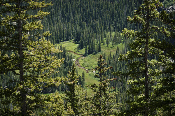 Looking down on the fen ecosystem of the Homestake Valley