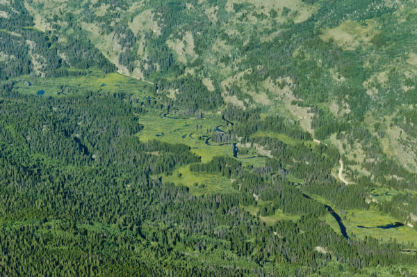 Aerial view looking down on Homestake Creek and wetland ecosystems called fens.