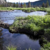 Homestake Valley Fens