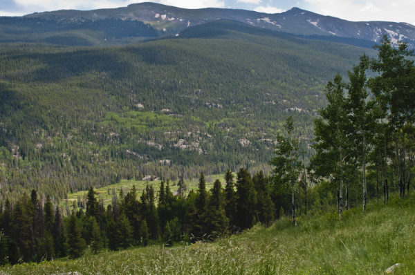 View looking across the Homestake Valley